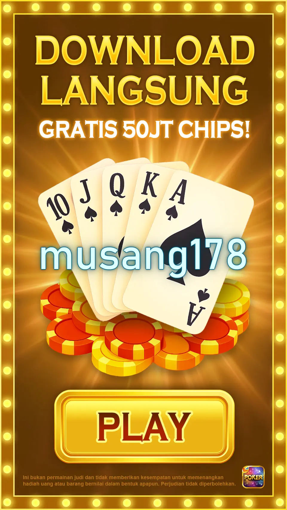 musang178 Masuk
